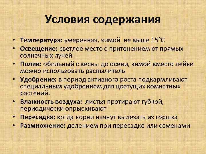 Условия содержания • Температура: умеренная, зимой не выше 15°С • Освещение: светлое место с