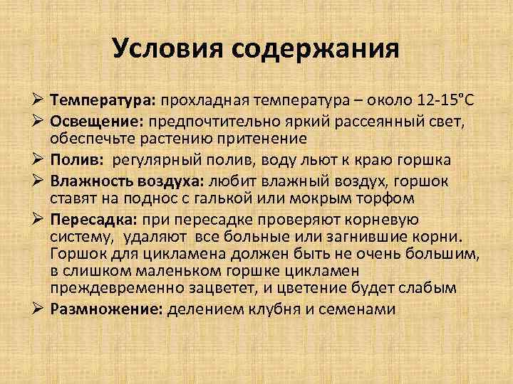 Условия содержания Ø Температура: прохладная температура – около 12 -15°С Ø Освещение: предпочтительно яркий