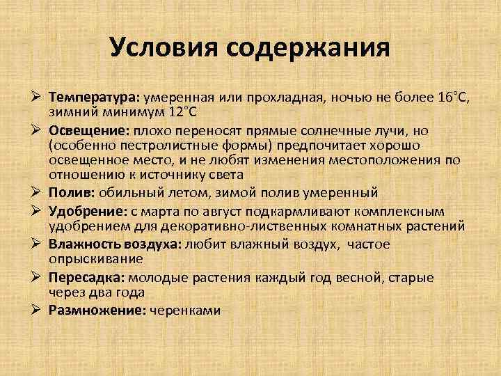 Условия содержания Ø Температура: умеренная или прохладная, ночью не более 16°С, зимний минимум 12°С