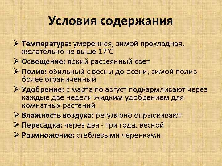 Условия содержания Ø Температура: умеренная, зимой прохладная, желательно не выше 17°С Ø Освещение: яркий