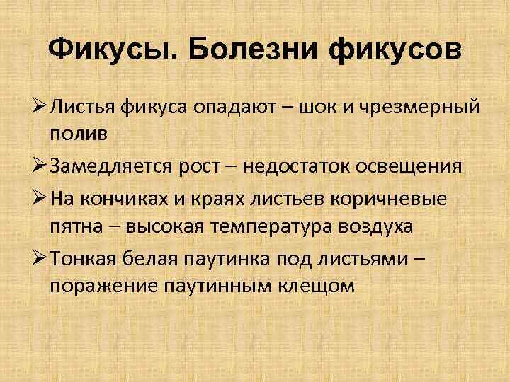 Фикусы. Болезни фикусов Ø Листья фикуса опадают – шок и чрезмерный полив Ø Замедляется