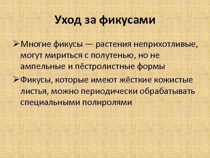 Уход за фикусами Ø Многие фикусы — растения неприхотливые, могут мириться с полутенью, но