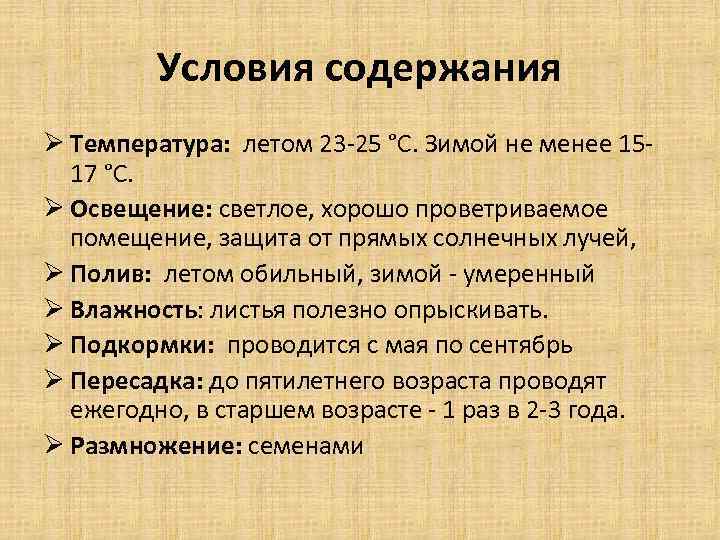 Условия содержания Ø Температура: летом 23 -25 °С. Зимой не менее 1517 °С. Ø