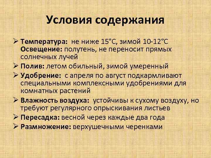 Условия содержания Ø Температура: не ниже 15°С, зимой 10 -12°С Освещение: полутень, не переносит