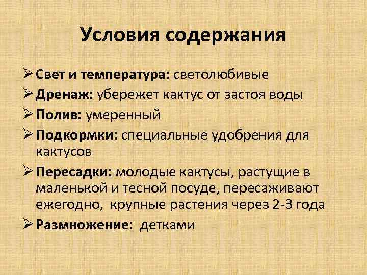 Условия содержания Ø Свет и температура: светолюбивые Ø Дренаж: убережет кактус от застоя воды