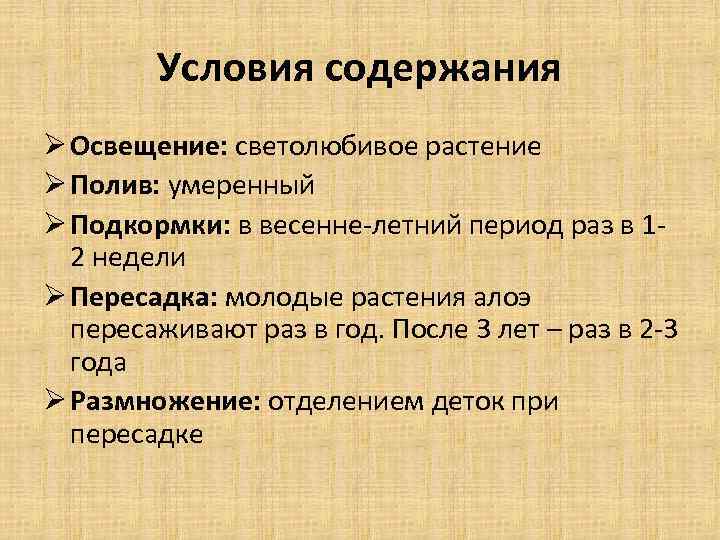 Условия содержания Ø Освещение: светолюбивое растение Ø Полив: умеренный Ø Подкормки: в весенне-летний период