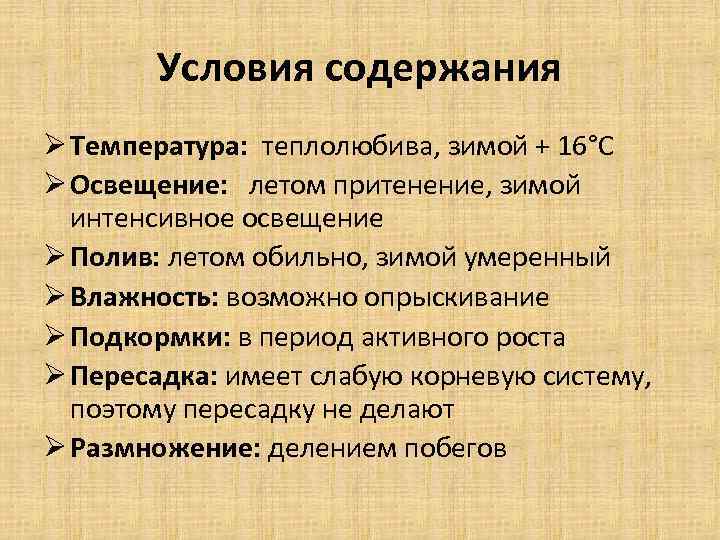 Условия содержания Ø Температура: теплолюбива, зимой + 16°С Ø Освещение: летом притенение, зимой интенсивное