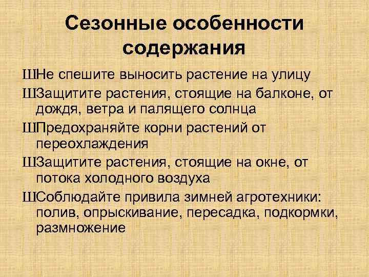 Сезонные особенности содержания ШНе спешите выносить растение на улицу ШЗащитите растения, стоящие на балконе,
