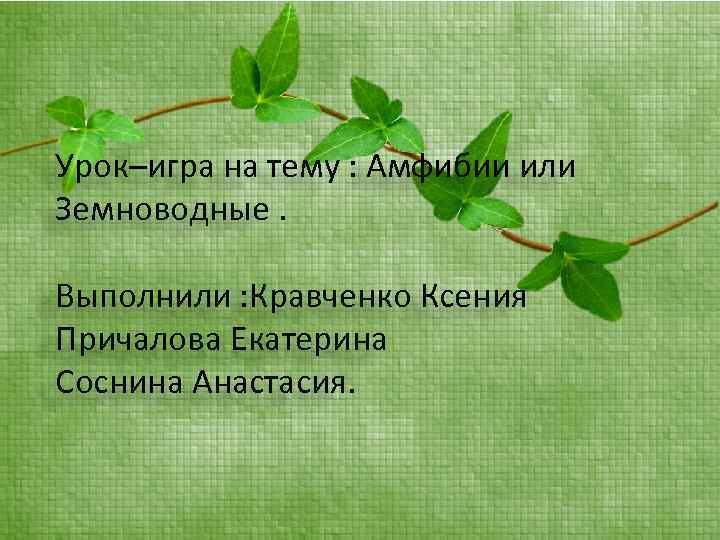 Урок–игра на тему : Амфибии или Земноводные. Выполнили : Кравченко Ксения Причалова Екатерина Соснина