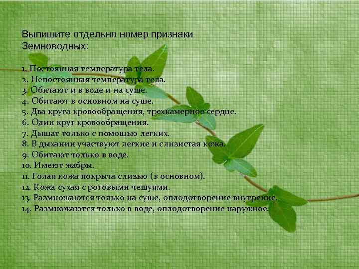 Выпишите отдельно номер признаки Земноводных: 1. Постоянная температура тела. 2. Непостоянная температура тела. 3.