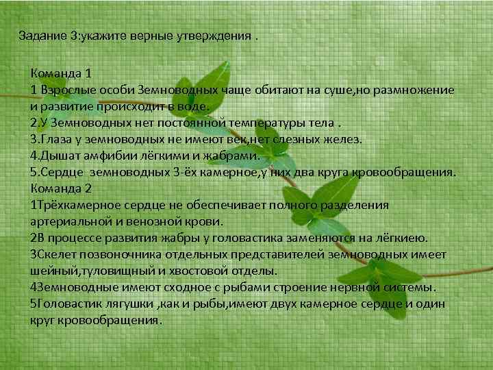 Задание 3: укажите верные утверждения. Команда 1 1 Взрослые особи Земноводных чаще обитают на