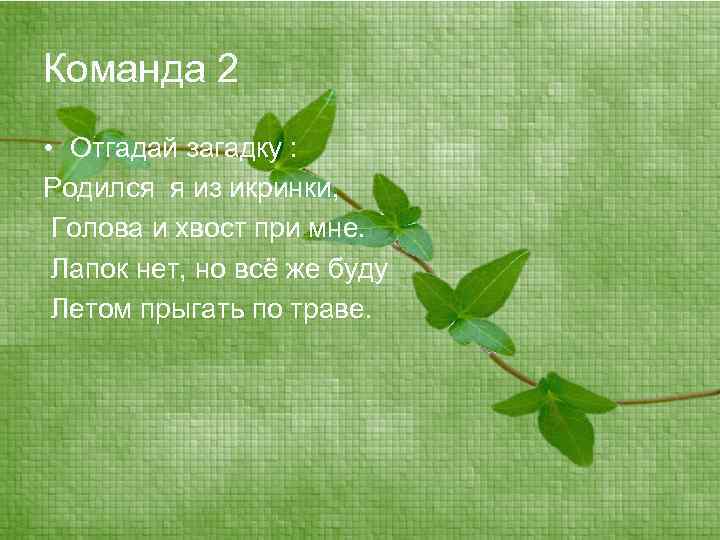 Команда 2 • Отгадай загадку : Родился я из икринки, Голова и хвост при