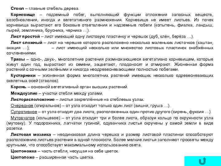Ствол – главные стебель дерева. Корневище – подземный побег, выполняющий функции отложения запасных веществ,