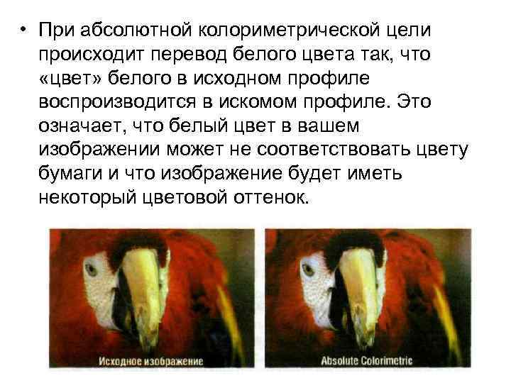  • При абсолютной колориметрической цели происходит перевод белого цвета так, что «цвет» белого
