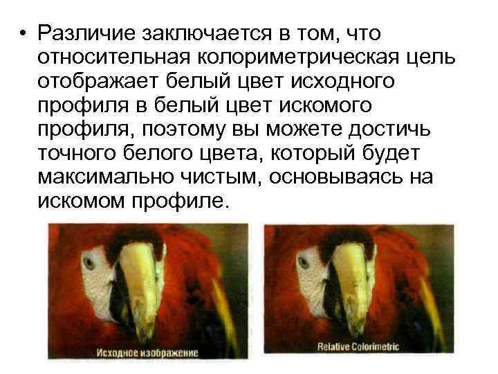  • Различие заключается в том, что относительная колориметрическая цель отображает белый цвет исходного