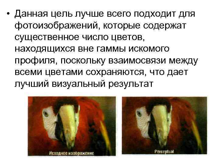  • Данная цель лучше всего подходит для фотоизображений, которые содержат существенное число цветов,