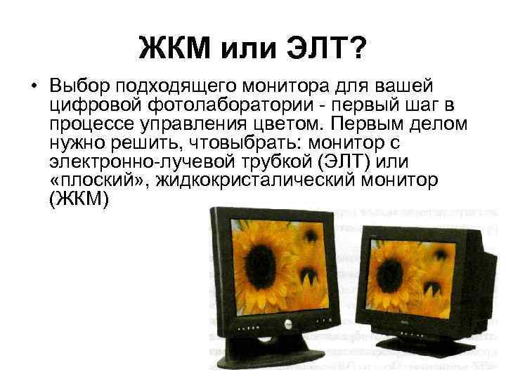ЖКМ или ЭЛТ? • Выбор подходящего монитора для вашей цифровой фотолаборатории - первый шаг