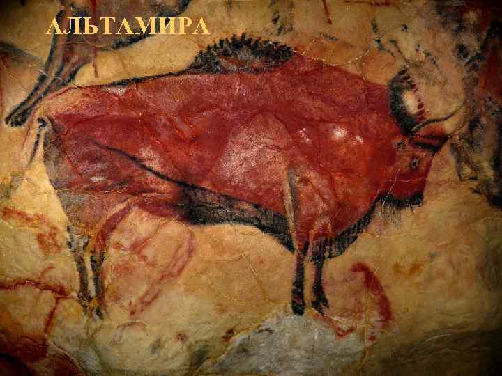 АЛЬТАМИРА 