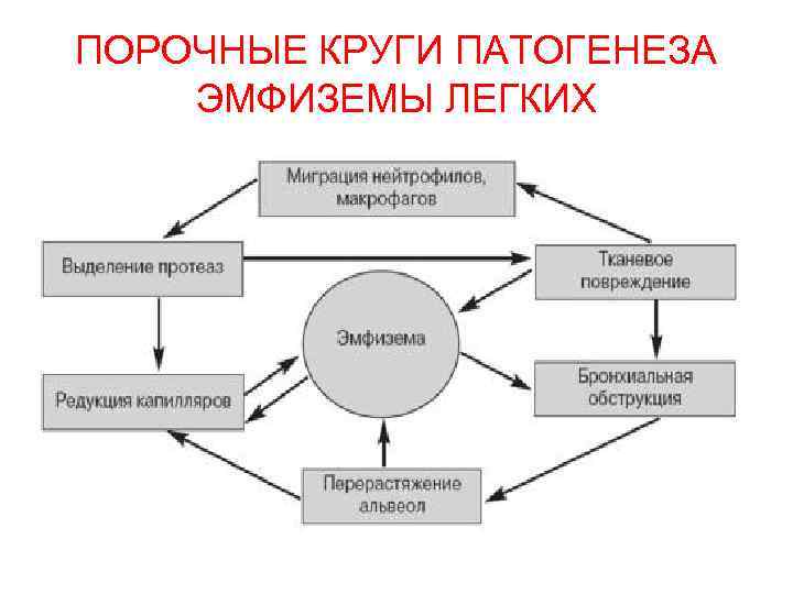 ПОРОЧНЫЕ КРУГИ ПАТОГЕНЕЗА ЭМФИЗЕМЫ ЛЕГКИХ 