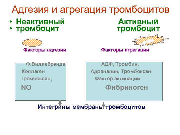 Адгезия и агрегация тромбоцитов • Неактивный • тромбоцит Факторы адгезии Ф. Виллебранда Коллаген Тромбоксан,