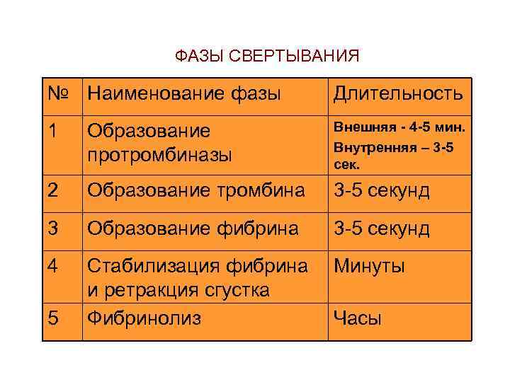 ФАЗЫ СВЕРТЫВАНИЯ № Наименование фазы Длительность 1 Образование протромбиназы Внешняя - 4 -5 мин.