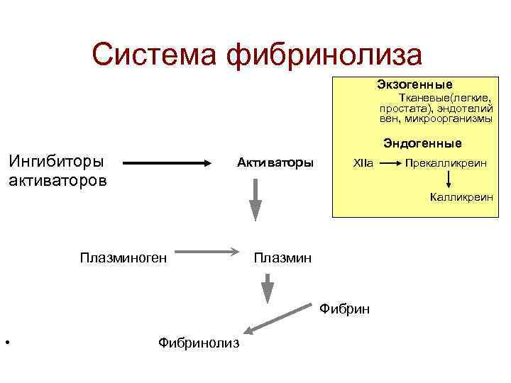 Система фибринолиза Экзогенные Тканевые(легкие, простата), эндотелий вен, микроорганизмы Эндогенные Ингибиторы активаторов Активаторы XIIa Прекалликреин