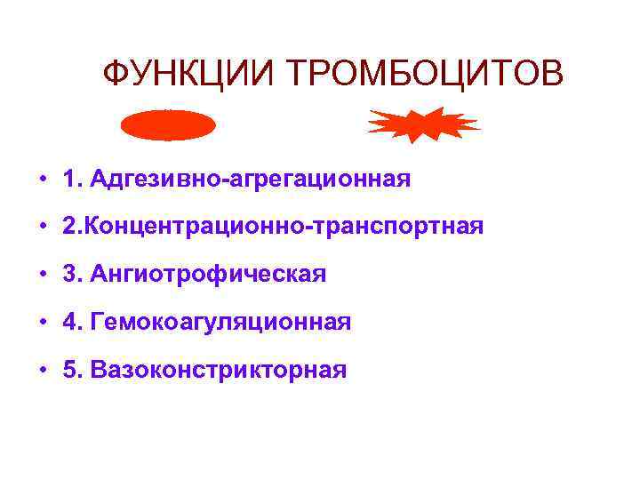 ФУНКЦИИ ТРОМБОЦИТОВ • 1. Адгезивно-агрегационная • 2. Концентрационно-транспортная • 3. Ангиотрофическая • 4. Гемокоагуляционная