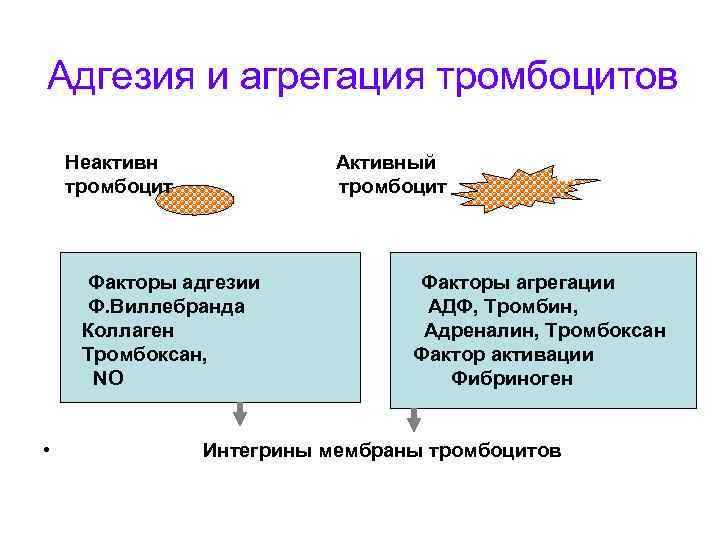 Адгезия и агрегация тромбоцитов Неактивн тромбоцит Активный тромбоцит Факторы адгезии Ф. Виллебранда Коллаген Тромбоксан,