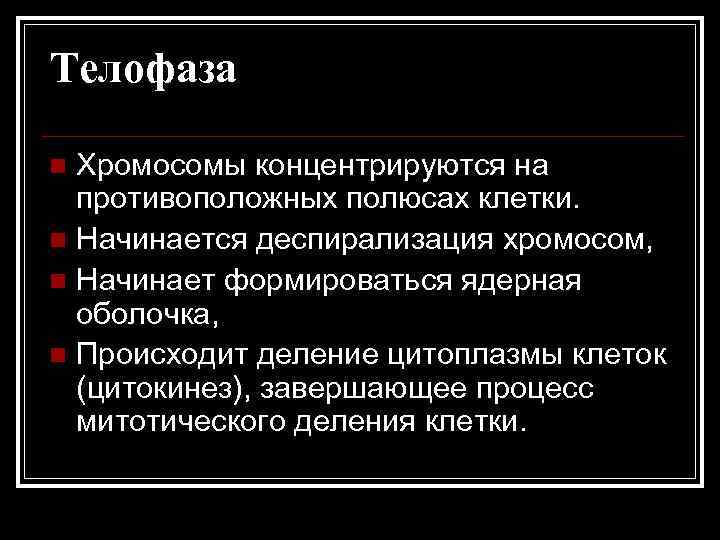 Телофаза Хромосомы концентрируются на противоположных полюсах клетки. n Начинается деспирализация хромосом, n Начинает формироваться