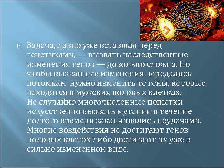  Задача, давно уже вставшая перед генетиками, — вызвать наследственные изменения генов — довольно