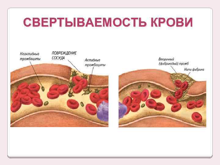 Свертывание происходит благодаря