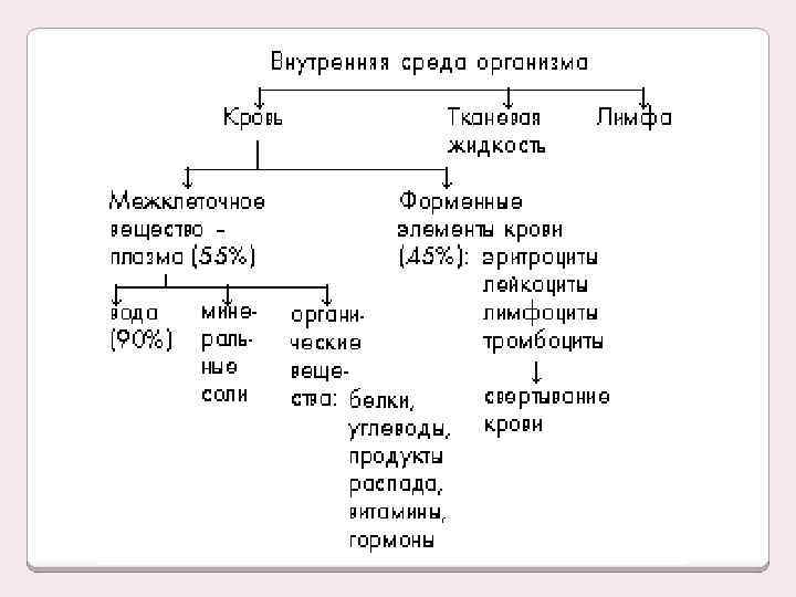 Конспект внутренняя