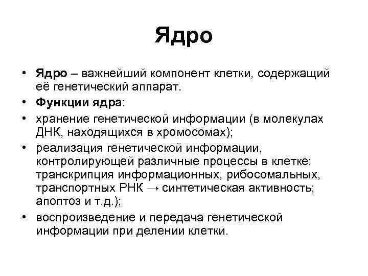 Ядро • Ядро – важнейший компонент клетки, содержащий её генетический аппарат. • Функции ядра: