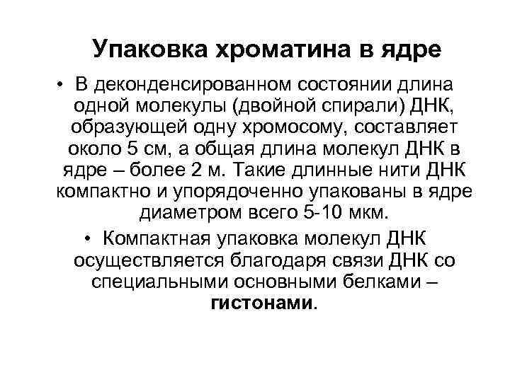 Упаковка хроматина в ядре • В деконденсированном состоянии длина одной молекулы (двойной спирали) ДНК,