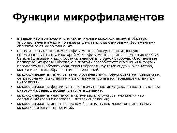 Функции микрофиламентов • • • в мышечных волокнах и клетках актиновые микрофиламенты образуют упорядоченные