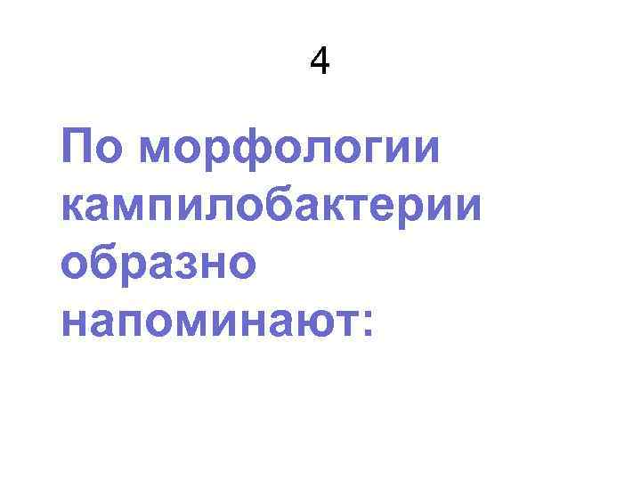 4 По морфологии кампилобактерии образно напоминают: 
