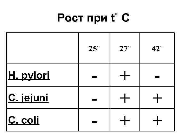 Рост при t˚ С 25˚ H. pylori C. jejuni C. coli 27˚ 42˚ -