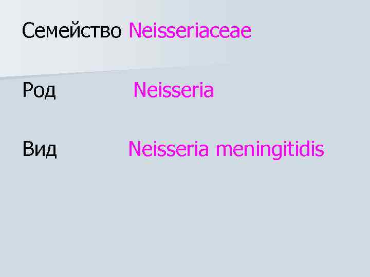 Семейство Neisseriaceae Род Neisseria Вид Neisseria meningitidis 