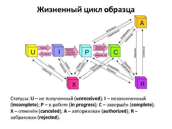 Жизненный цикл образца Статусы: U – не полученный (unreceived); I – незаконченный (incomplete); P