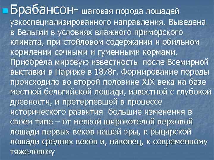 n Брабансон- шаговая порода лошадей узкоспециализированного направления. Выведена в Бельгии в условиях влажного приморского
