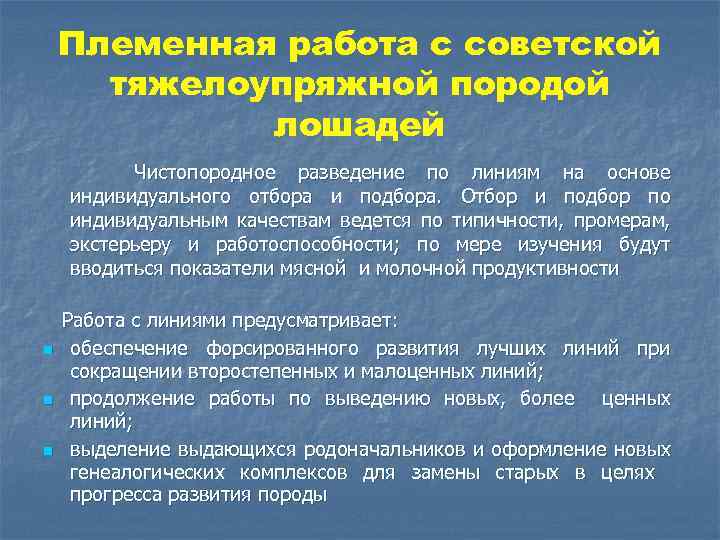 Племенная работа с советской тяжелоупряжной породой лошадей Чистопородное разведение по линиям на основе индивидуального