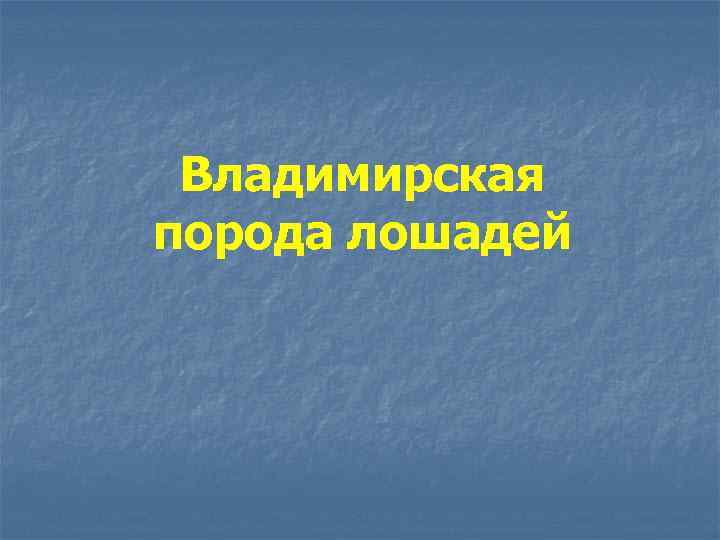 Владимирская порода лошадей 