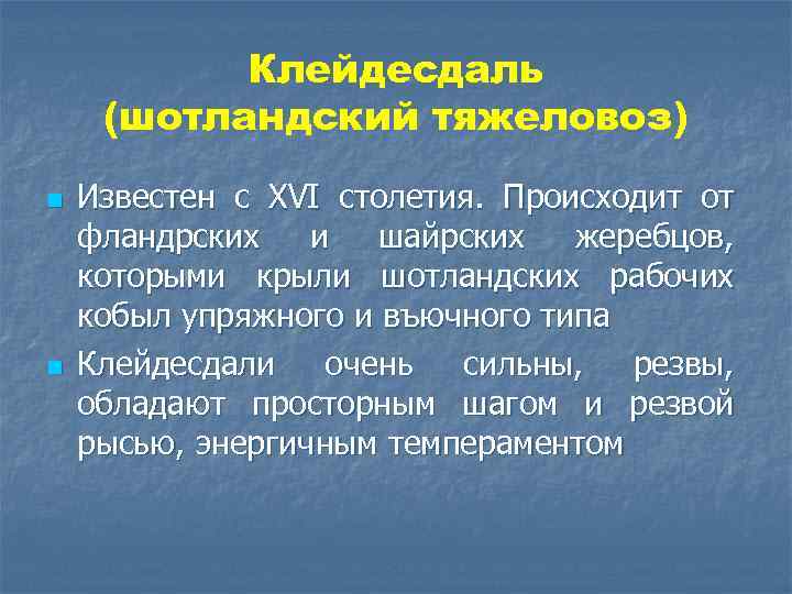 Клейдесдаль (шотландский тяжеловоз) n n Известен с XVI столетия. Происходит от фландрских и шайрских
