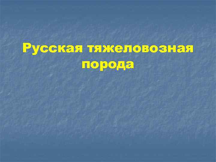 Русская тяжеловозная порода 