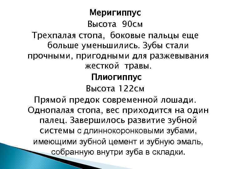 Меригиппус Высота 90 см Трехпалая стопа, боковые пальцы еще больше уменьшились. Зубы стали прочными,