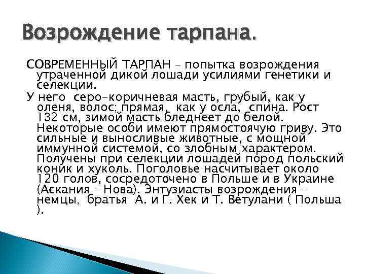 Возрождение тарпана. СОВРЕМЕННЫЙ ТАРПАН – попытка возрождения утраченной дикой лошади усилиями генетики и селекции.