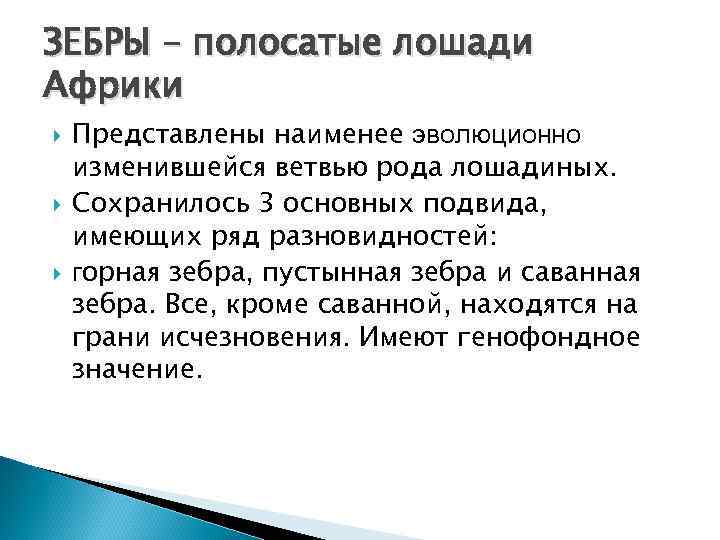 ЗЕБРЫ – полосатые лошади Африки Представлены наименее эволюционно изменившейся ветвью рода лошадиных. Сохранилось 3