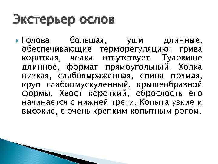 Экстерьер ослов Голова большая, уши длинные, обеспечивающие терморегуляцию; грива короткая, челка отсутствует. Туловище длинное,