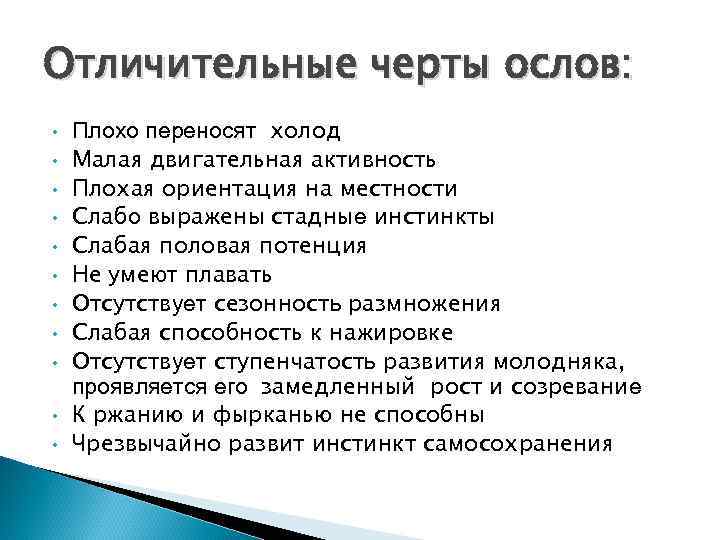 Отличительные черты ослов: • • • Плохо переносят холод Малая двигательная активность Плохая ориентация