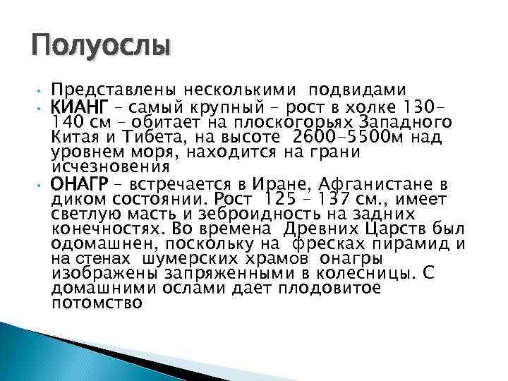 Полуослы • • • Представлены несколькими подвидами КИАНГ – самый крупный – рост в